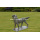 Life Size Bronze Dog Animal Statue